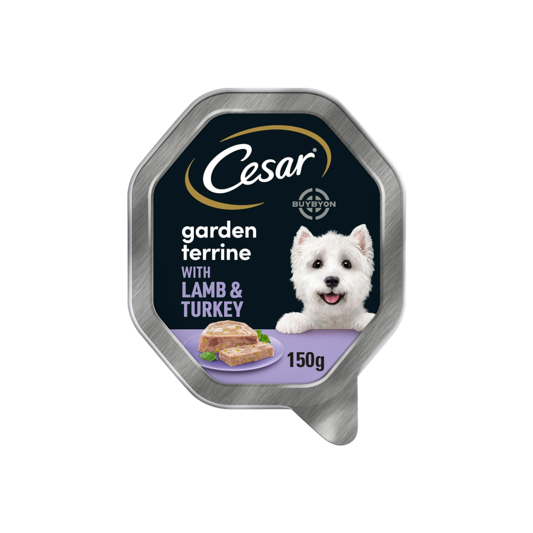 Cesar Garden Terrine Dog Food Tray with Lamb, Turkey &amp; Green Beans - 150g, featuring a tender loaf-style meal with high-quality proteins and vegetables, available at Buybyon.co.uk