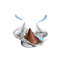 Hershey’s Kisses Silver - 1kg